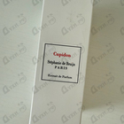 Отзыв Stephanie De Bruijn Cupidon