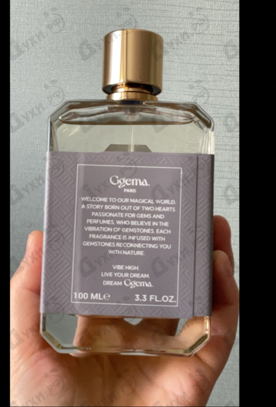 Купить Instinct от Ggema