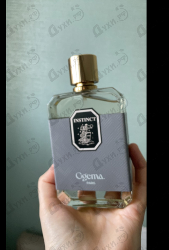 Купить Instinct от Ggema