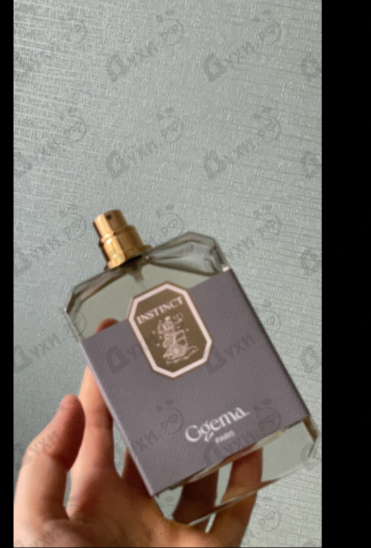 Отзыв Ggema Instinct