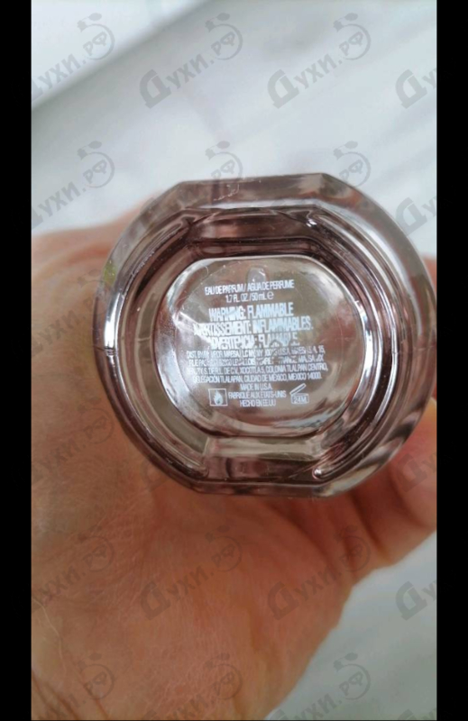 Купить Daybreak от Aeropostale