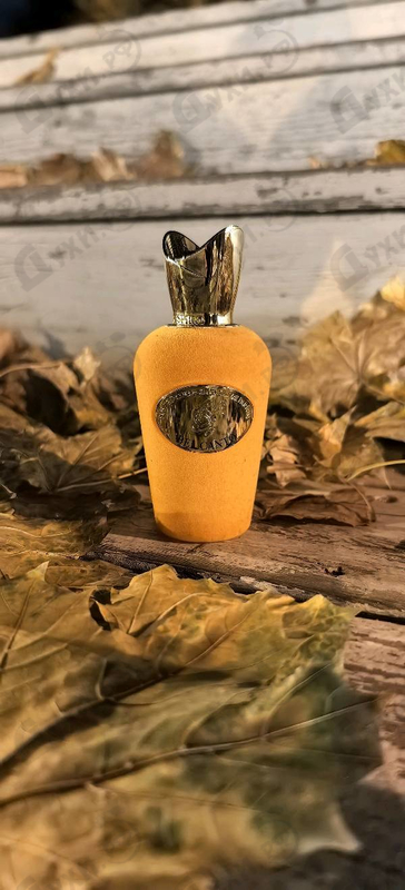 Отзывы Xerjoff (Sospiro) Bel Canto