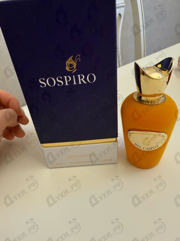 Купить (Sospiro) Bel Canto от Xerjoff