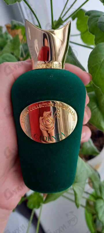 Купить (Sospiro) Cadenza от Xerjoff