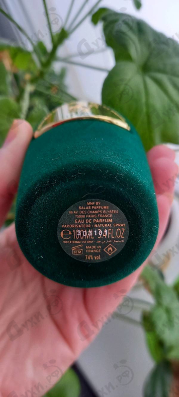 Купить (Sospiro) Cadenza от Xerjoff