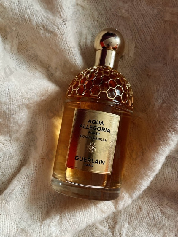 Купить Aqua Allegoria Forte Bosca Vanilla от Guerlain