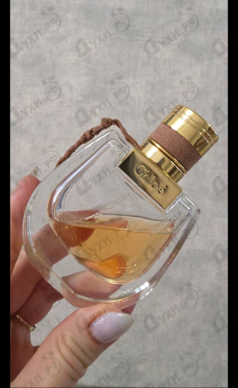 Парфюмерия Chloe Nomade Jasmin Naturel Intense