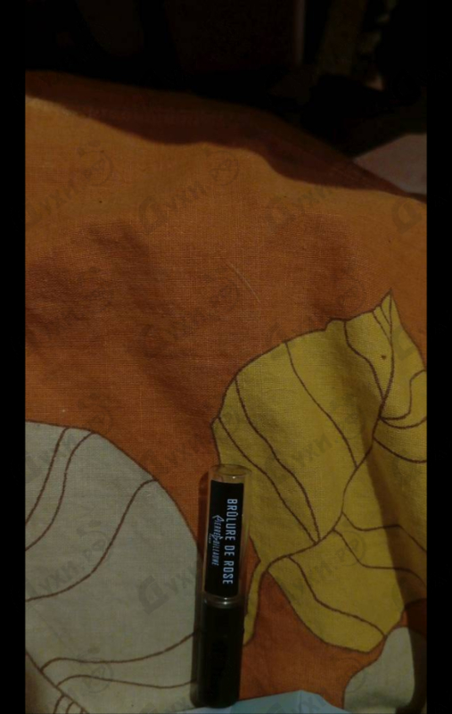 Отзывы Pierre Guillaume Brulure De Rose 13