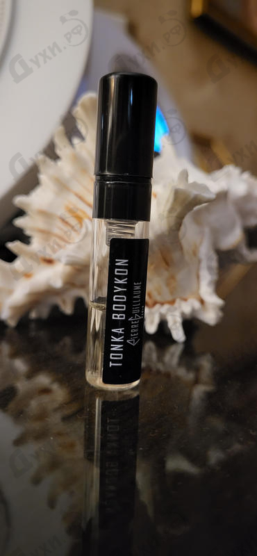 Парфюм Pierre Guillaume Tonka Bodykon 31 Купить Tonka Bodykon 31 от Pierre Guillaume