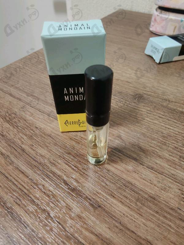 Купить Animal Mondain от Pierre Guillaume