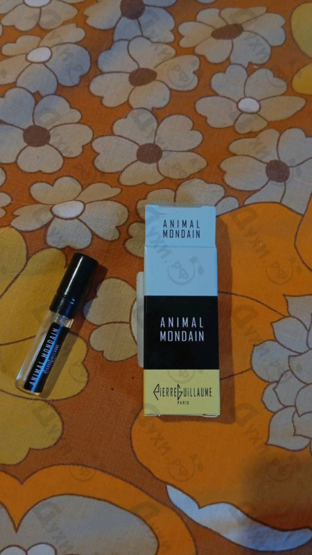 Отзыв Pierre Guillaume Animal Mondain