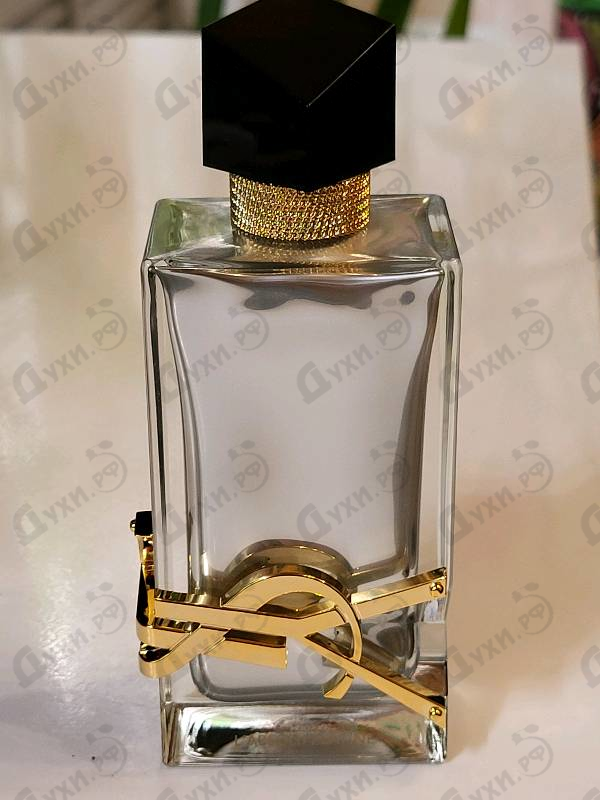 Отзывы Yves Saint Laurent Libre L'Absolu Platine