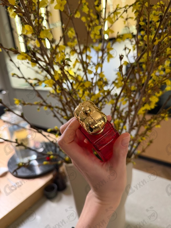 Купить Town & Country от Clive Christian