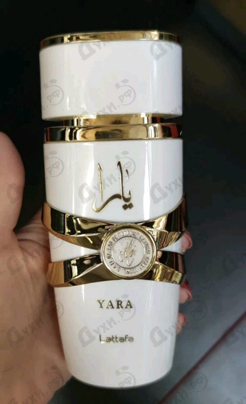 Купить Yara Moi от Lattafa Perfumes