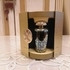 Парфюмерия Queen Of The Night от The Merchant of Venice