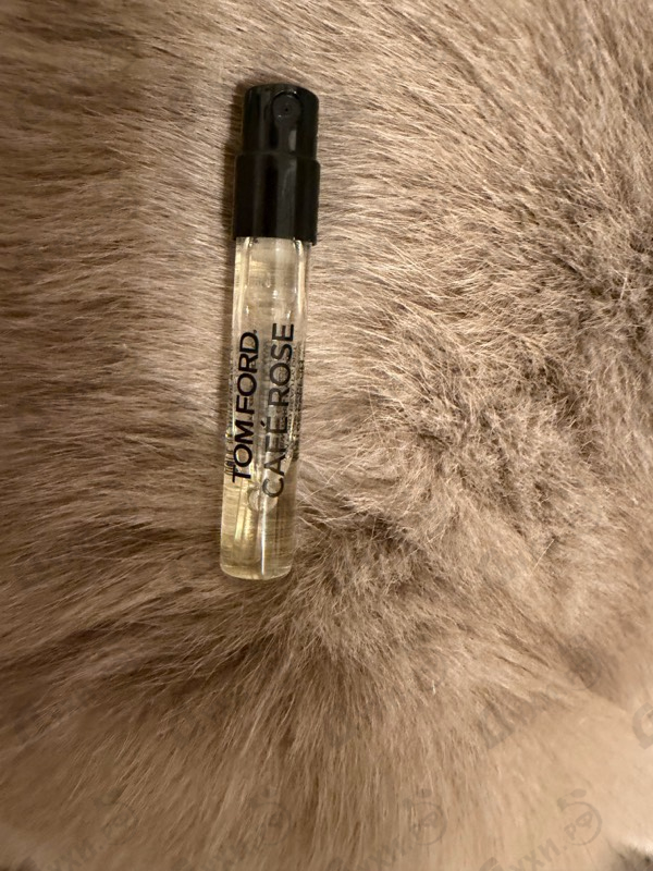Купить Cafe Rose (2023) от Tom Ford
