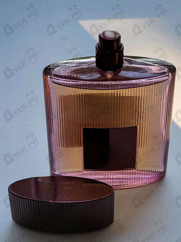 Отзывы Tom Ford Cafe Rose (2023)