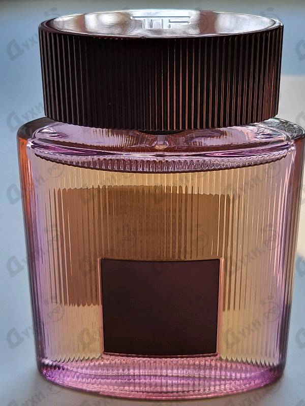 Купить Cafe Rose (2023) от Tom Ford