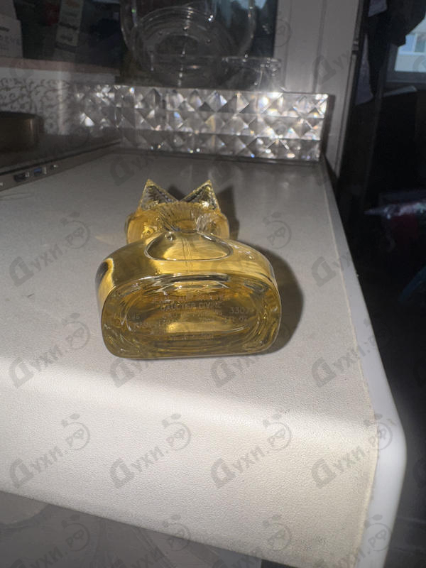 Купить Gaultier Divine от Jean Paul Gaultier