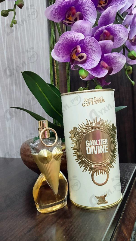 Парфюмерия Gaultier Divine от Jean Paul Gaultier
