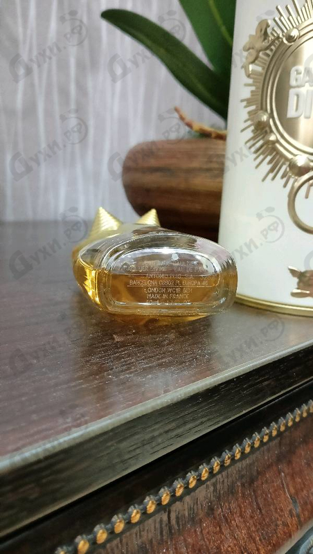 Купить Gaultier Divine от Jean Paul Gaultier