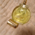 Парфюм Gloria Vanderbilt Jardin A New York