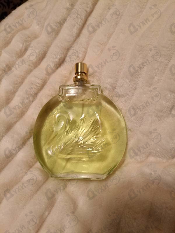 Парфюмерия Jardin A New York от Gloria Vanderbilt