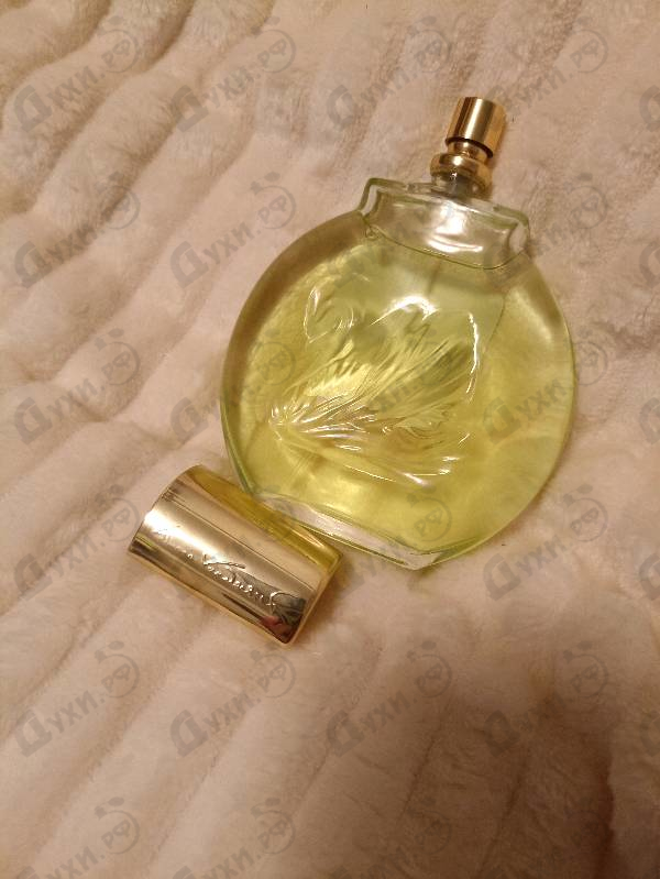 Купить Jardin A New York от Gloria Vanderbilt