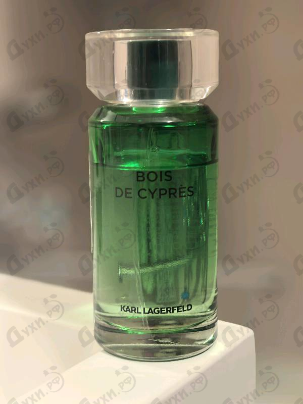 Отзыв Lagerfeld Bois De Cypres