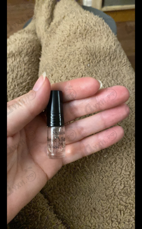 Отзывы Shakira Dance Midnight Muse