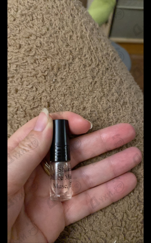 Купить Shakira Dance Midnight Muse