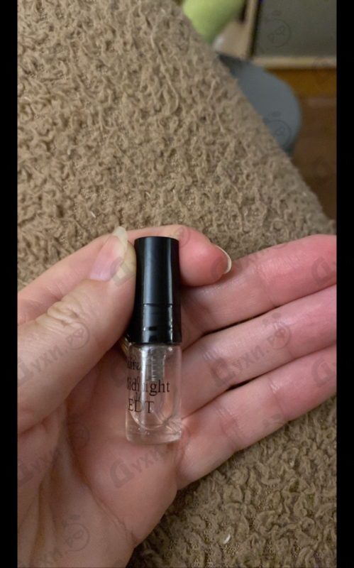 Купить Shakira Dance Midnight Muse