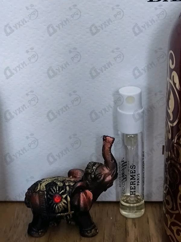 Парфюмерия Tutti Twilly D'Hermes от Hermes