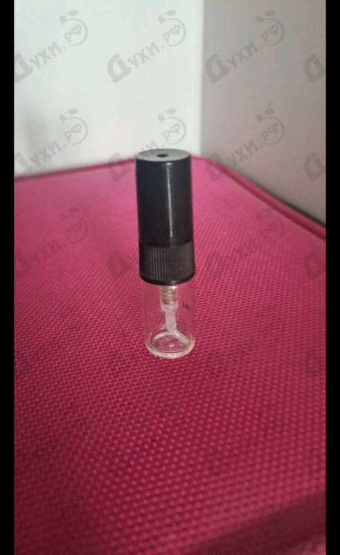 Купить Tutti Twilly D'Hermes от Hermes