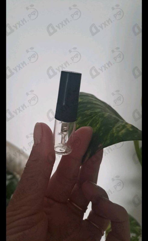 Парфюмерия Hermes Tutti Twilly D'Hermes