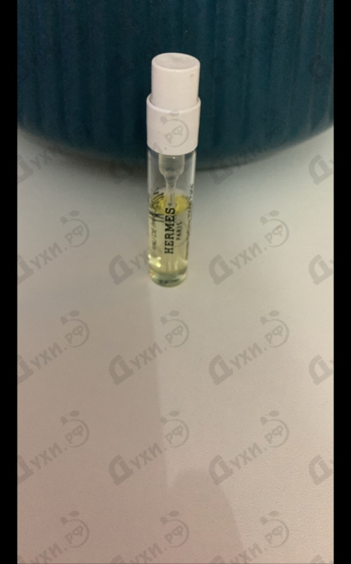 Купить Hermes Tutti Twilly D'Hermes