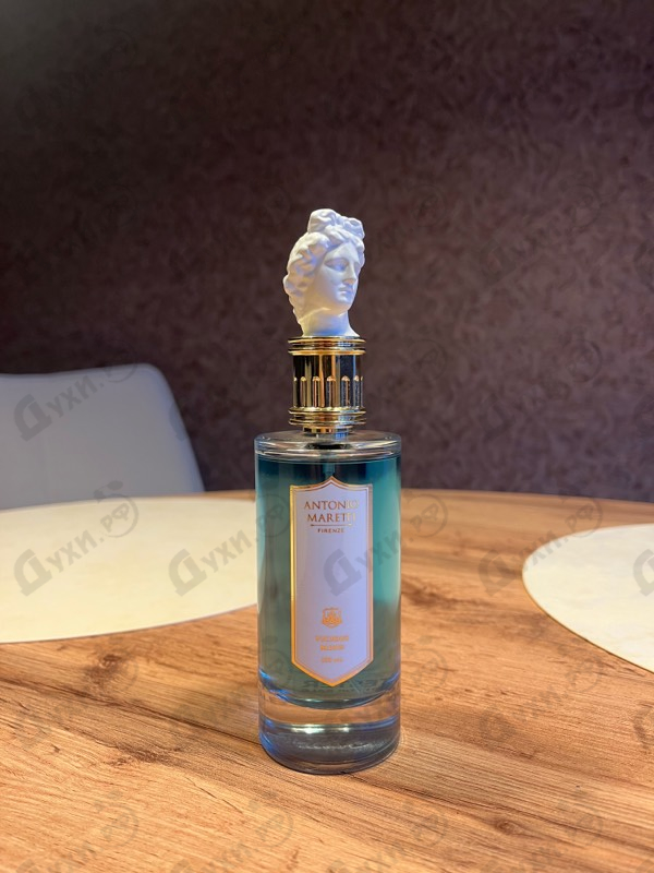 Купить Antonio Maretti Vicious Mind