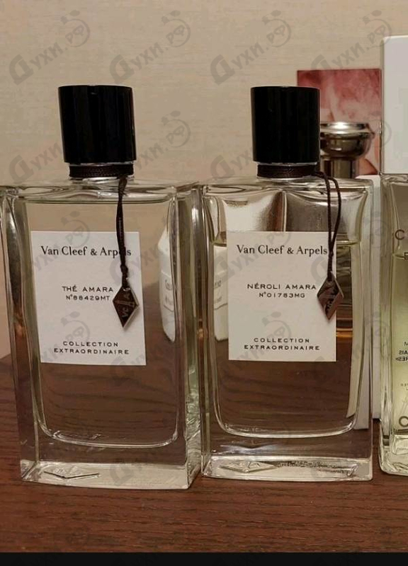 Отзывы Van Cleef & Arpels The Amara