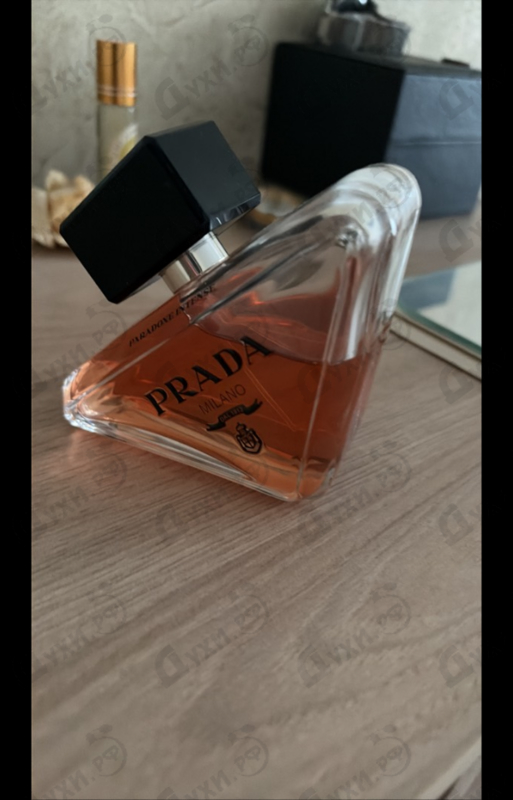 Отзывы Prada Paradoxe Intense