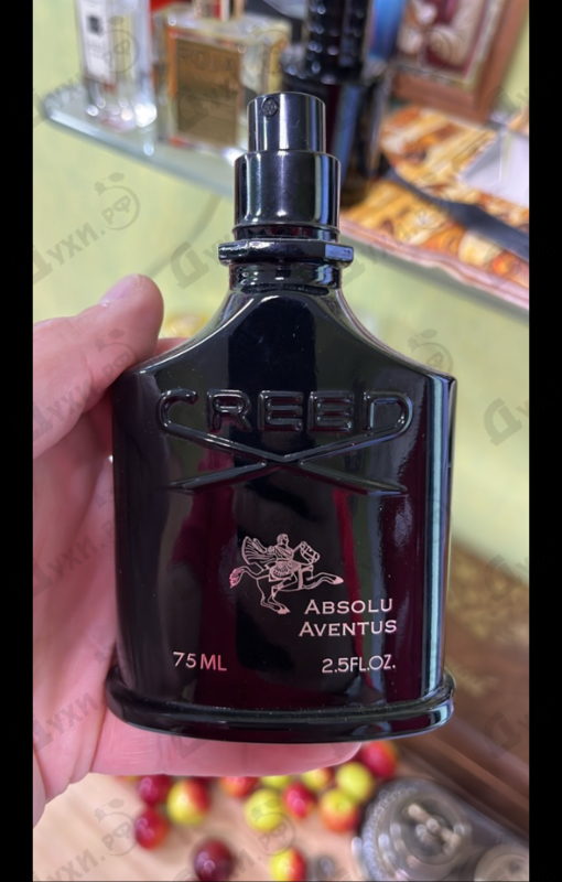 Отзывы Creed Absolu Aventus