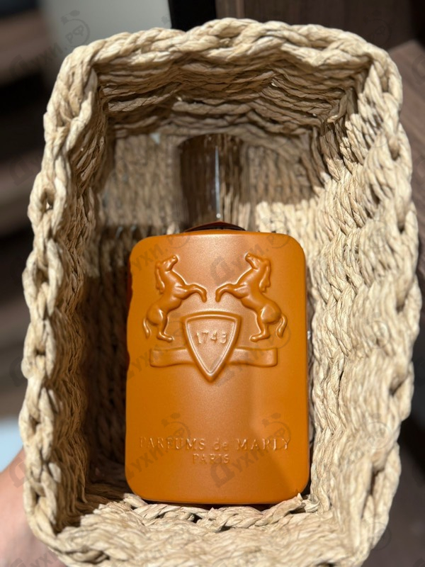 Купить Althair от Parfums de Marly