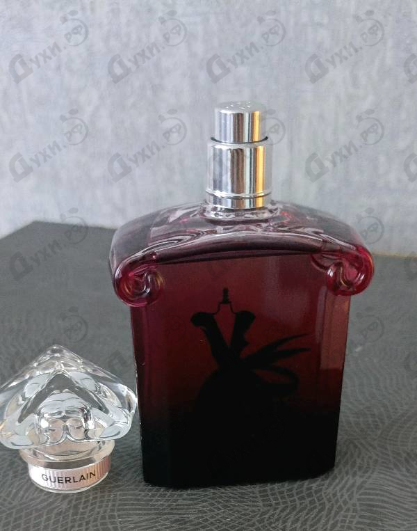 Парфюмерия Guerlain La Petite Robe Noire Eau De Parfum Absolue