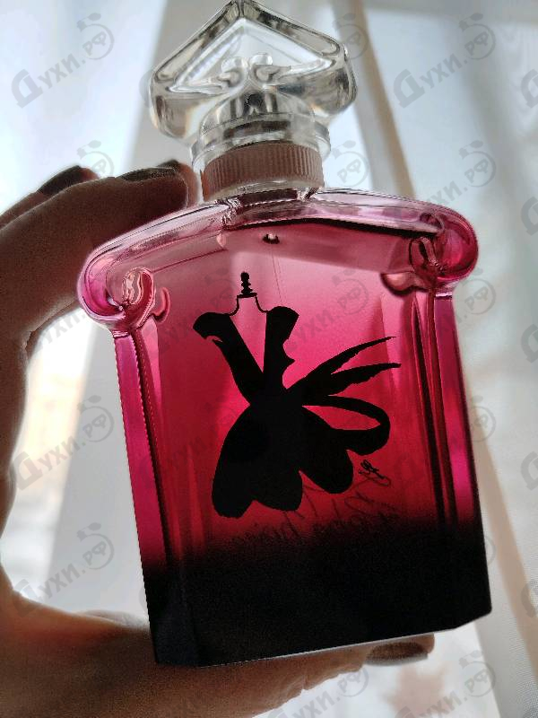 Парфюмерия La Petite Robe Noire Eau De Parfum Absolue от Guerlain