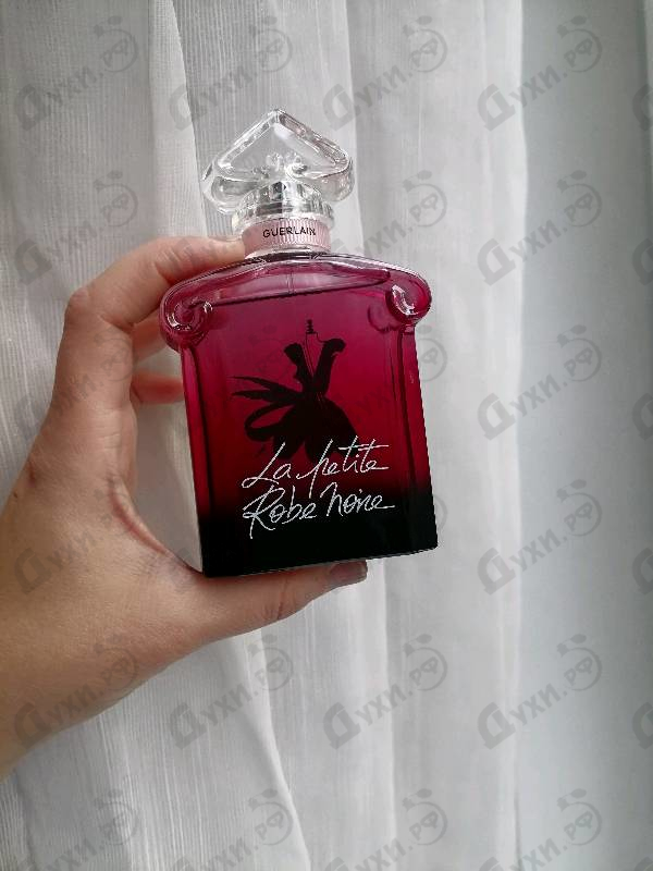 Купить La Petite Robe Noire Eau De Parfum Absolue от Guerlain