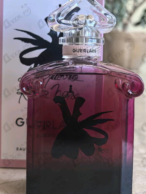 Купить La Petite Robe Noire Eau De Parfum Absolue от Guerlain
