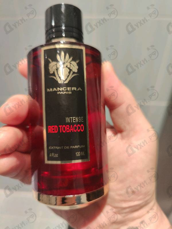 Купить Mancera Red Tobacco Intense