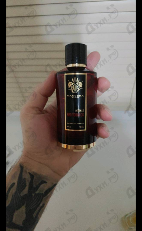 Купить Red Tobacco Intense от Mancera