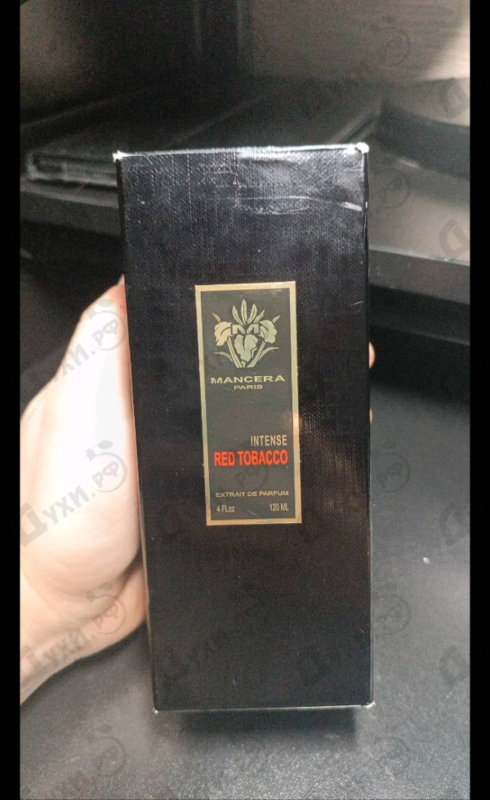 Купить Red Tobacco Intense от Mancera