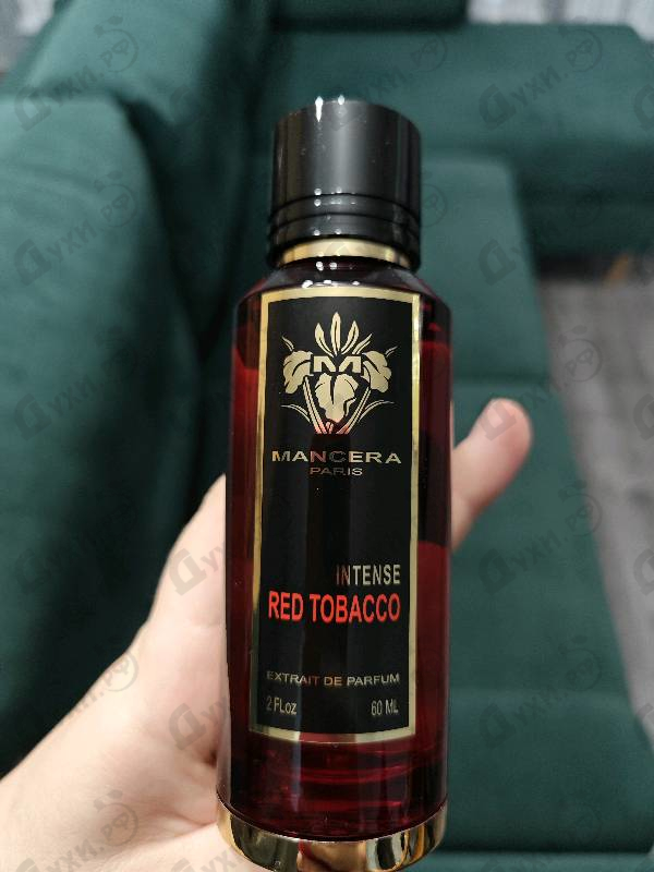 Купить Red Tobacco Intense от Mancera