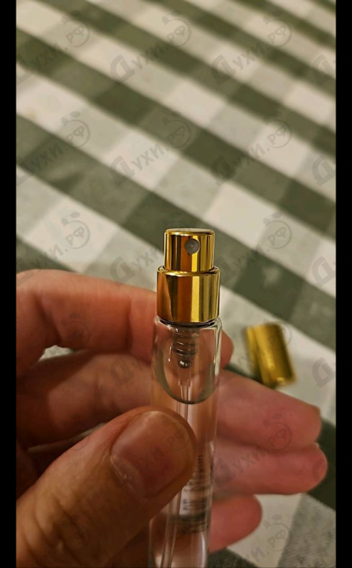 Купить Ex Nihilo Blue Talisman